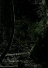 VampireDiariesWorld-dot-org_1x01Pilot_Captures01749.jpg