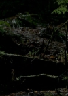 VampireDiariesWorld-dot-org_1x01Pilot_Captures01763.jpg
