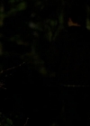 VampireDiariesWorld-dot-org_1x01Pilot_Captures01881.jpg