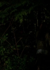 VampireDiariesWorld-dot-org_1x01Pilot_Captures01888.jpg