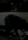 VampireDiariesWorld-dot-org_1x01Pilot_Captures02177.jpg