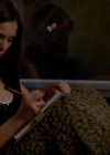 VampireDiariesWorld-dot-org_1x01Pilot_Captures02427.jpg