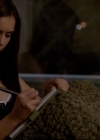 VampireDiariesWorld-dot-org_1x01Pilot_Captures02428.jpg