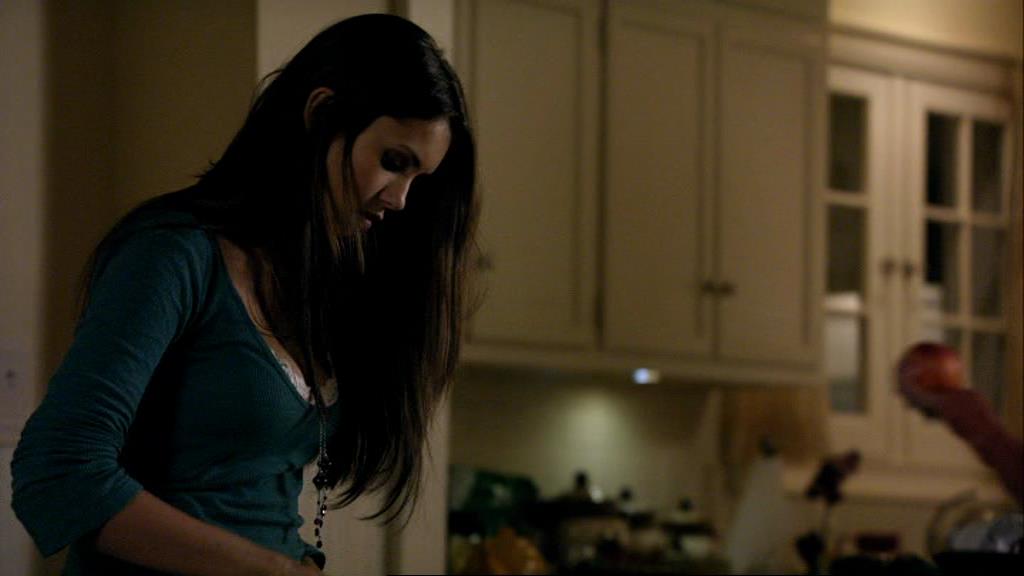 VampireDiariesWorld_dot_org-1x02TheNightOfTheComet01068.jpg