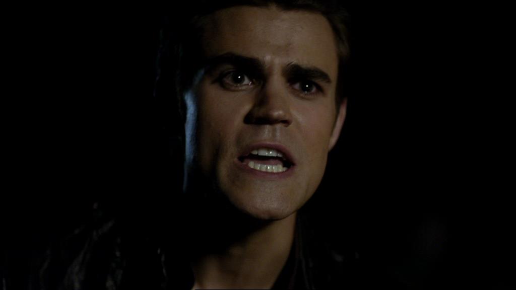 VampireDiariesWorld_dot_org-1x02TheNightOfTheComet01873.jpg