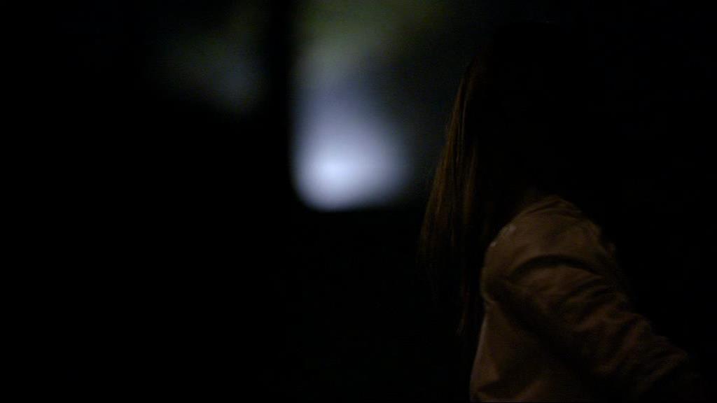 VampireDiariesWorld_dot_org-1x02TheNightOfTheComet02237.jpg