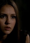 VampireDiariesWorld_dot_org-1x02TheNightOfTheComet02115.jpg