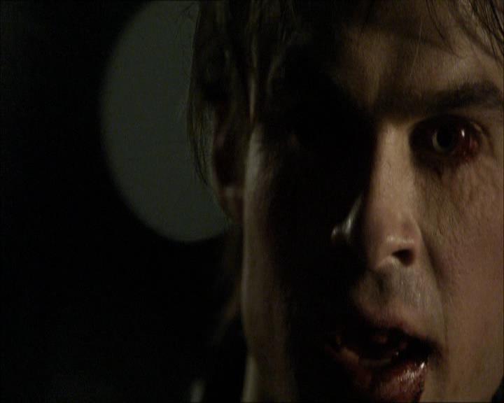 VampireDiariesWorld_dot_org-1x03FridayNightBites2036.jpg