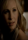 VampireDiariesWorld_dot_org-1x03FridayNightBites1309.jpg