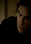 VampireDiariesWorld_dot_org-1x03FridayNightBites1330.jpg