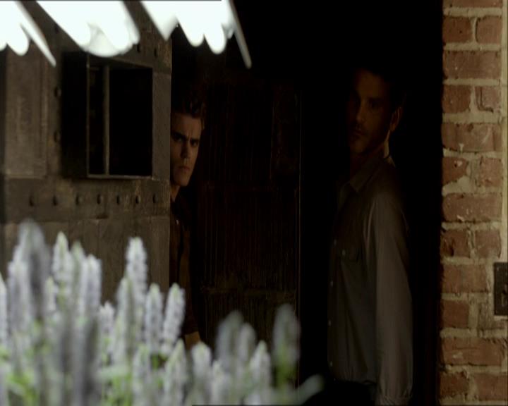 VampireDiariesWorld_dot_org-104FamilyTies0673.jpg