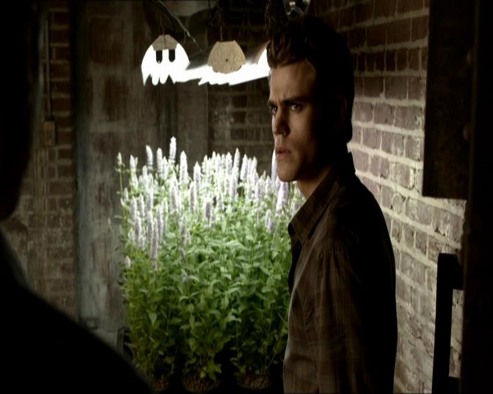 VampireDiariesWorld_dot_org-104FamilyTies0690.jpg