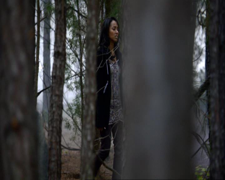 VampireDiariesWorld_dot_org-111Bloodlines0826.jpg