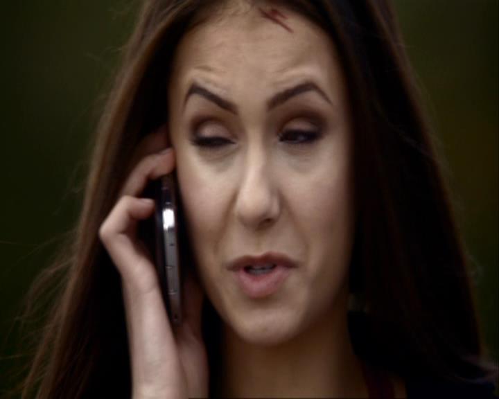 VampireDiariesWorld_dot_org-111Bloodlines0909.jpg