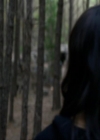 VampireDiariesWorld_dot_org-111Bloodlines0823.jpg