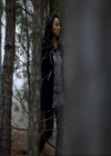 VampireDiariesWorld_dot_org-111Bloodlines0826.jpg