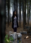 VampireDiariesWorld_dot_org-111Bloodlines0829.jpg