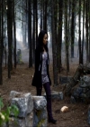 VampireDiariesWorld_dot_org-111Bloodlines0830.jpg