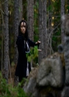 VampireDiariesWorld_dot_org-111Bloodlines0866.jpg