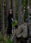 VampireDiariesWorld_dot_org-111Bloodlines0867.jpg