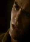 VampireDiariesWorld_dot_org-111Bloodlines2014.jpg