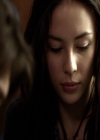 VampireDiariesWorld_dot_org-111Bloodlines2067.jpg