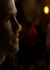 VampireDiariesWorld_dot_org-111Bloodlines2215.jpg