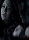 VampireDiariesWorld_dot_org-117LetTheRightOneIn1812.jpg