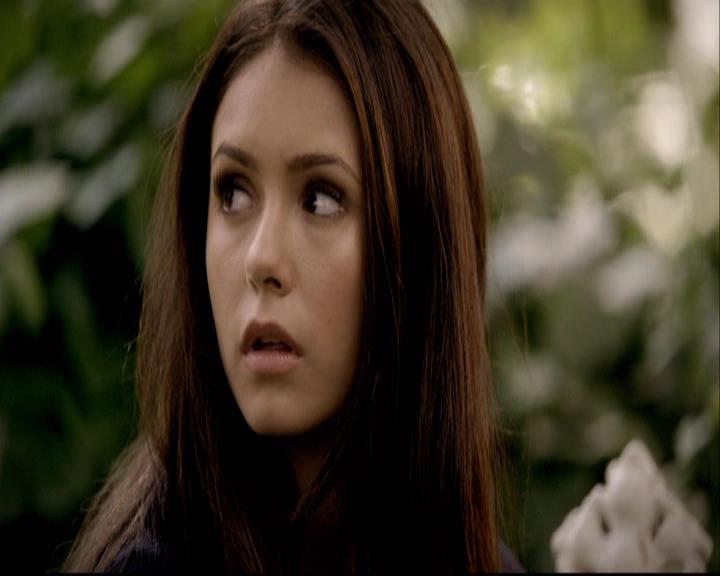 VampireDiariesWorld-dot-org_2x01TheReturn1530.jpg