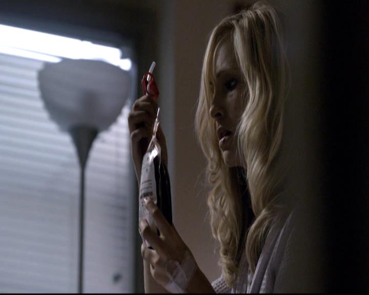 VampireDiariesWorld-dot-org_2x02BraveNewWorld0103.jpg