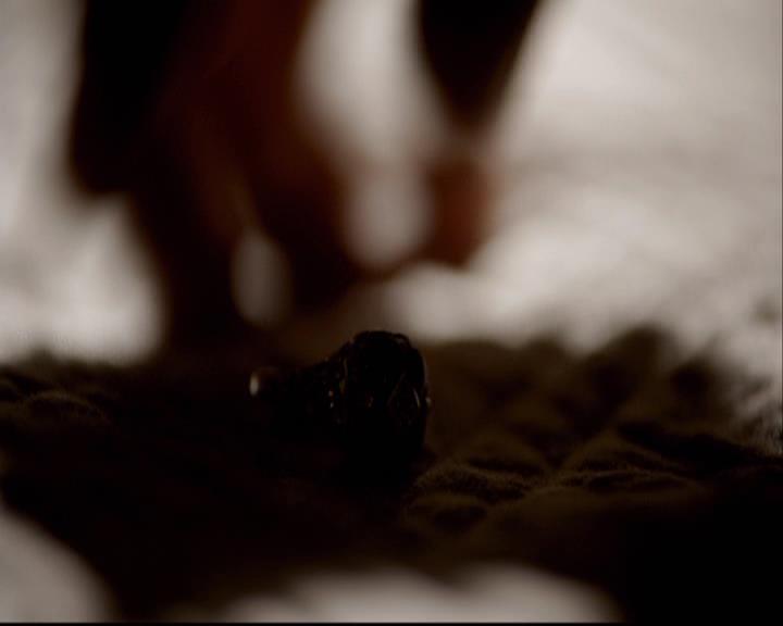 VampireDiariesWorld-dot-org_2x03BadMoonRising0545.jpg