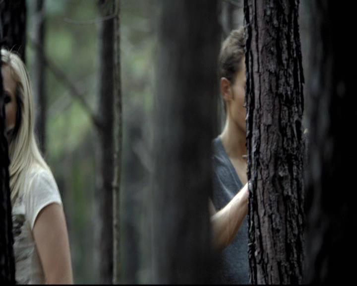 VampireDiariesWorld-dot-org_2x03BadMoonRising0785.jpg