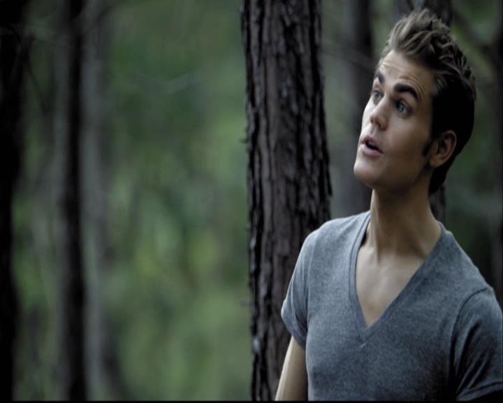 VampireDiariesWorld-dot-org_2x03BadMoonRising0789.jpg