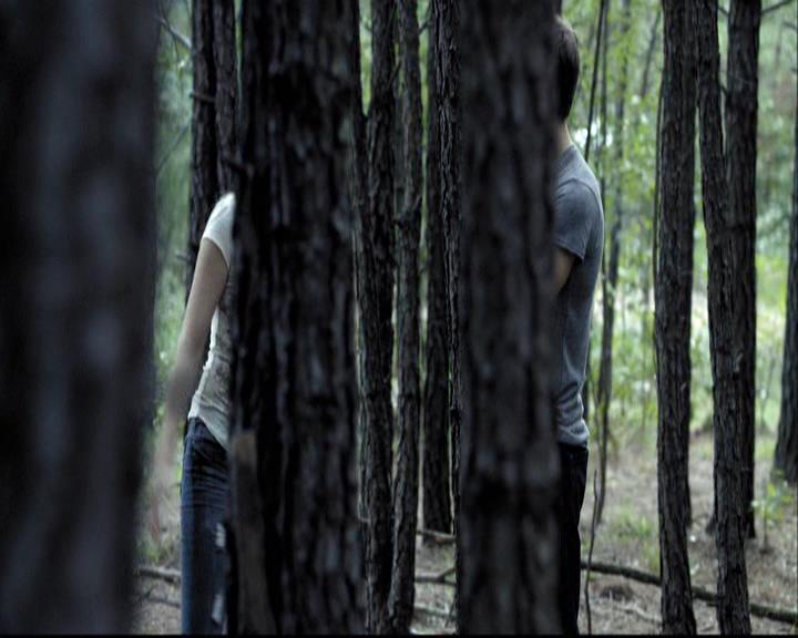 VampireDiariesWorld-dot-org_2x03BadMoonRising0806.jpg