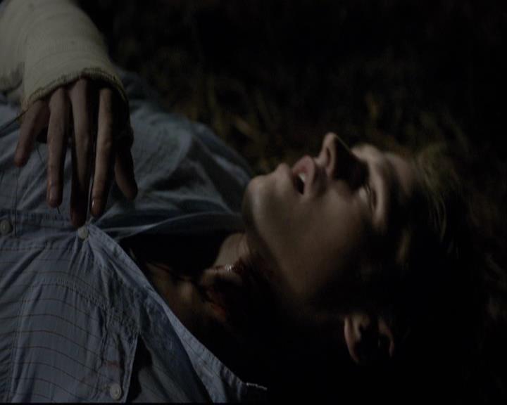 VampireDiariesWorld-dot-org_2x03BadMoonRising1848.jpg