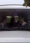 VampireDiariesWorld-dot-org_2x03BadMoonRising0462.jpg