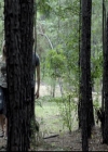 VampireDiariesWorld-dot-org_2x03BadMoonRising0777.jpg