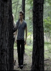 VampireDiariesWorld-dot-org_2x03BadMoonRising0780.jpg