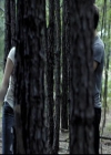 VampireDiariesWorld-dot-org_2x03BadMoonRising0806.jpg