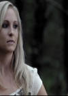 VampireDiariesWorld-dot-org_2x03BadMoonRising0813.jpg