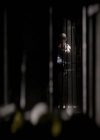 VampireDiariesWorld-dot-org_2x03BadMoonRising1143.jpg