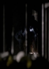 VampireDiariesWorld-dot-org_2x03BadMoonRising1144.jpg