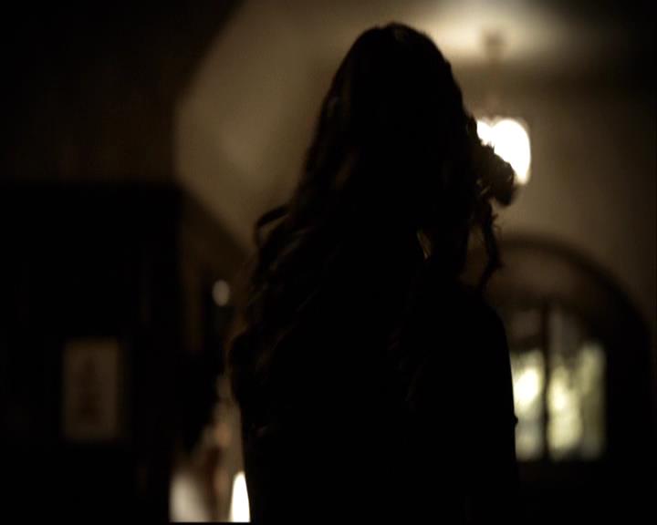 VampireDiariesWorld-dot-org_2x04MemoryLane0451.jpg