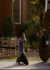 VampireDiariesWorld-dot-org_2x06PlanB0869.jpg
