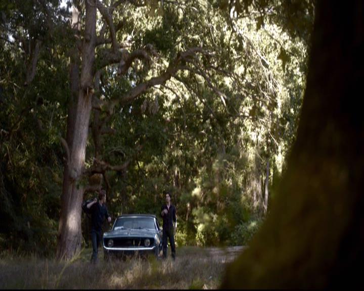 VampireDiariesWorld-dot-org_2x08Rose1482.jpg