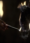 VampireDiariesWorld-dot-org_2x10TheSacrifce1396.jpg