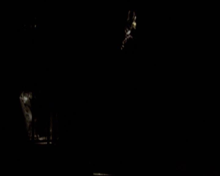 VampireDiariesWorld-dot-org_2x11ByTheLightOfTheMoon1635.jpg