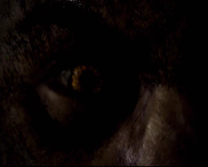 VampireDiariesWorld-dot-org_2x11ByTheLightOfTheMoon1651.jpg