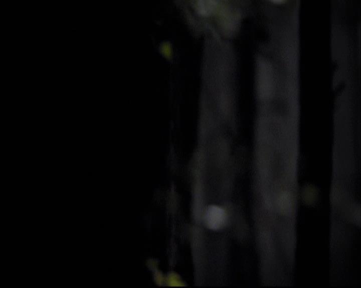 VampireDiariesWorld-dot-org_2x11ByTheLightOfTheMoon1683.jpg
