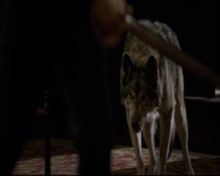 VampireDiariesWorld-dot-org_2x11ByTheLightOfTheMoon1754.jpg